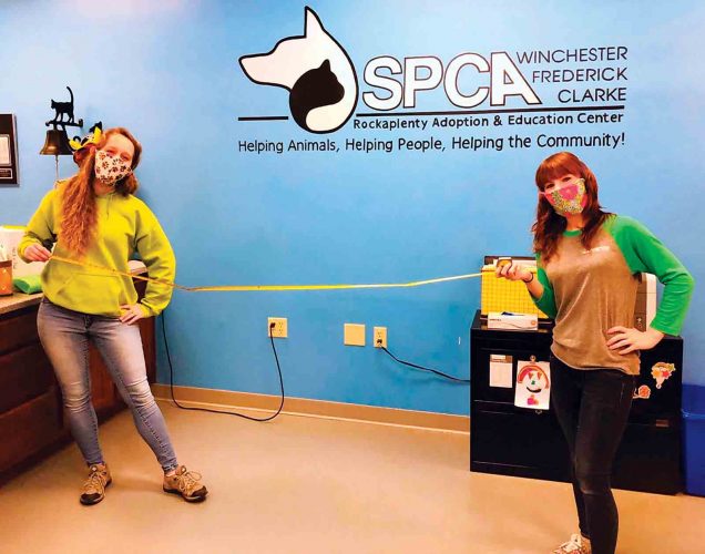 Virginia SPCA forced to close thrift shop News, Sports, Jobs